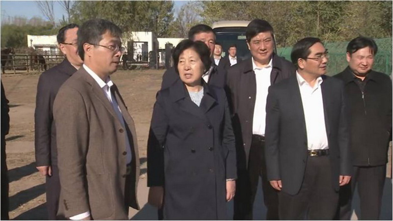 天津市委书记孙春兰到华牧中心调研