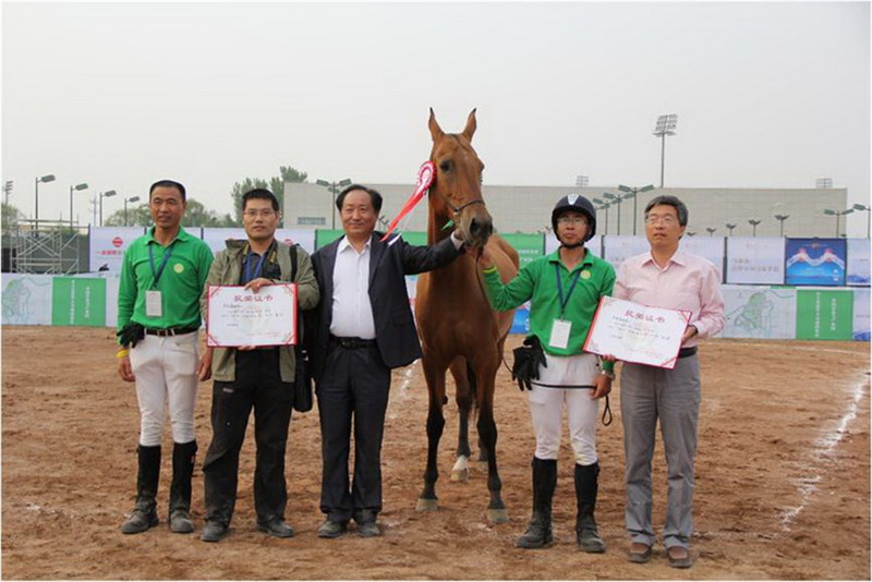 威廉希尔中文网站集团汗血马勇夺中国汗血马大典决赛冠军