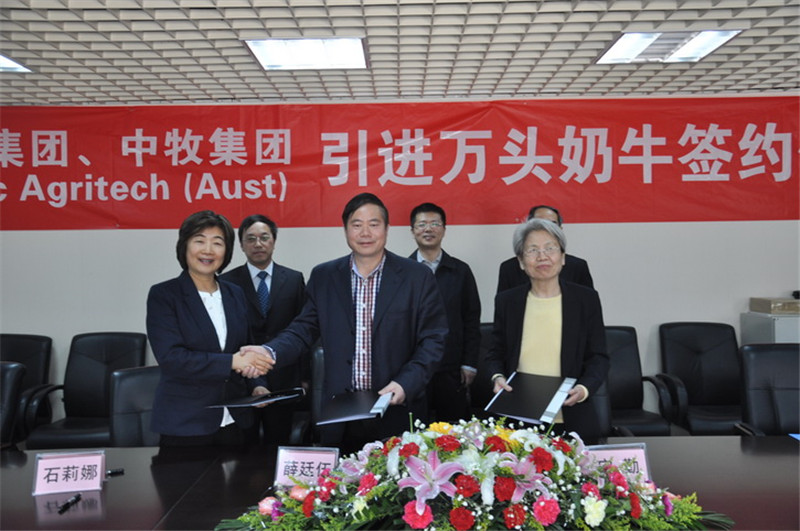 威廉希尔中文网站集团与红星集团签订万头奶牛引进协议