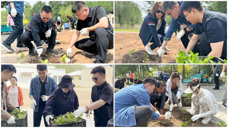 图一.jpg 图一.jpg