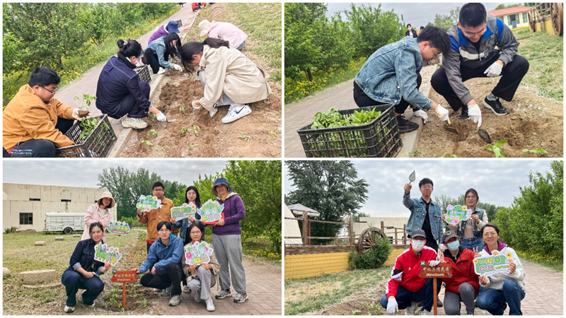 图二.jpg 图二.jpg