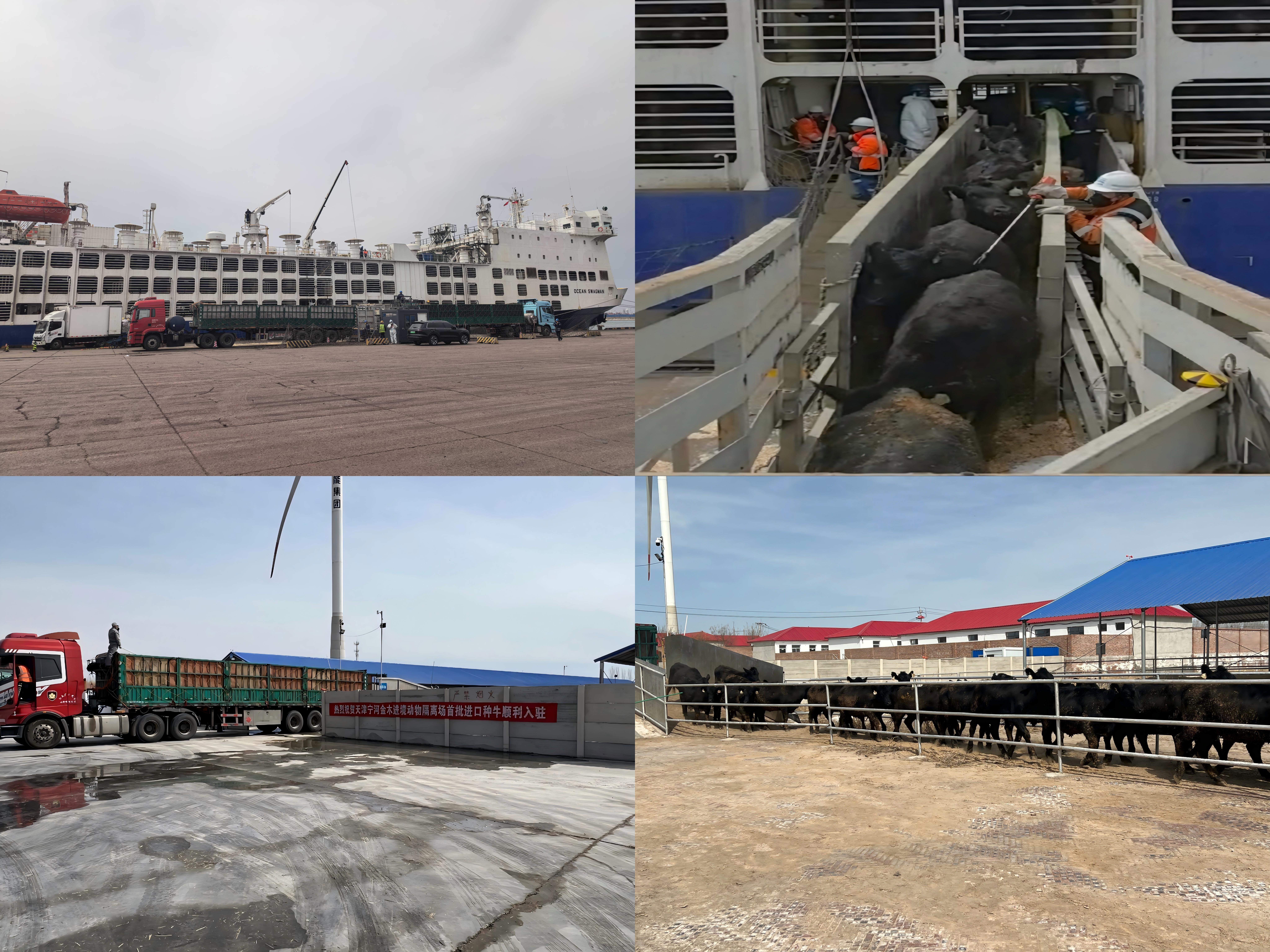 _cgi-bin_mmwebwx-bin_webwxgetmsgimg__&MsgID=697172527256282668&skey=@crypt_926e83d7_13028fbb16837b77f8d3703c907fc650&mmweb_appid=wx_webfilehelper.jpg _cgi-bin_mmwebwx-bin_webwxgetmsgimg__&MsgID=697172527256282668&skey=@crypt_926e83d7_13028fbb16837b77f8d3703c907fc650&mmweb_appid=wx_webfilehelper.jpg